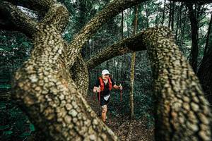 BIB: 
                            <button type="button" onclick="openModal(25394308)" class="btn btn-primary btn-sm float-right btn-popup" data-toggle="modal" data-target=".modal-high-quality">
                        <i class="fas fa-shopping-cart"></i> Add to Cart
                    </button>
                                            <button type="button" onclick="isThisMe(25394308, true)" class="btn btn-success btn-sm float-right btn-popup btn-isme hidden" data-toggle="tooltip" data-placement="bottom" title="นี่คือรูปของคุณใช่ไหม คลิกที่นี่เพื่อเอาเข้าอัลบั้ม">
                        <i class="fas fa-plus"></i> Add to album
                    </button>
                    <button type="button" onclick="isThisMe(25394308, false)" class="btn btn-warning btn-sm float-right btn-popup btn-isnotme hidden">
                        <i class="fas fa-ban"></i> Remove from album
                    </button>